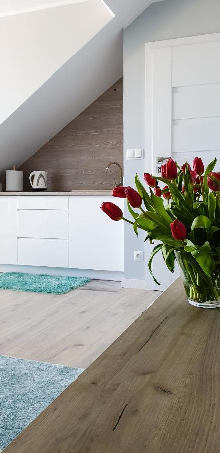 Jas I Malgosia Apartment วาดีสวาโวโว ภายนอก รูปภาพ